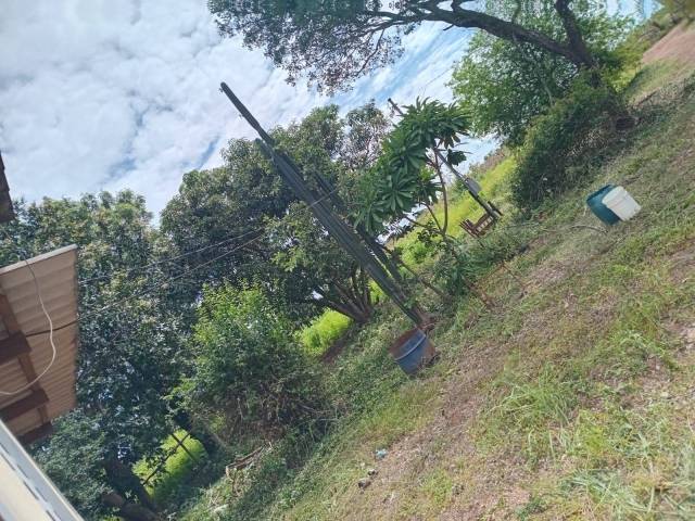 Chácara para Venda em Campo Verde - 5