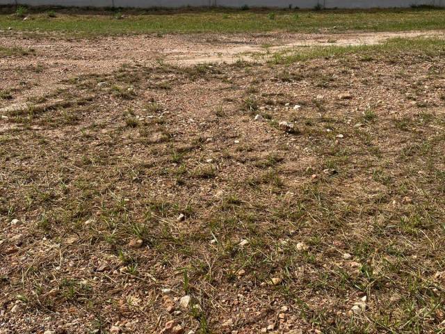 #310 - Área para Venda em Cuiabá - MT