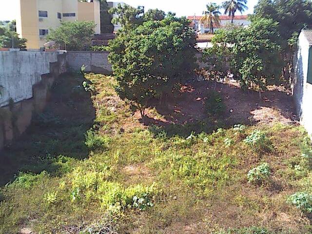 #367 - Área para Venda em Dom Aquino - MT