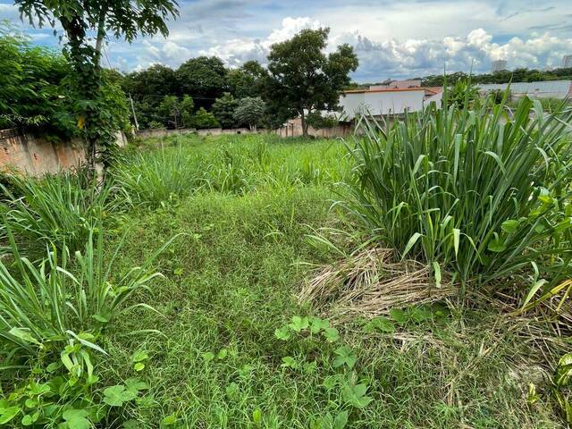 #369 - Área para Venda em Cuiabá - MT