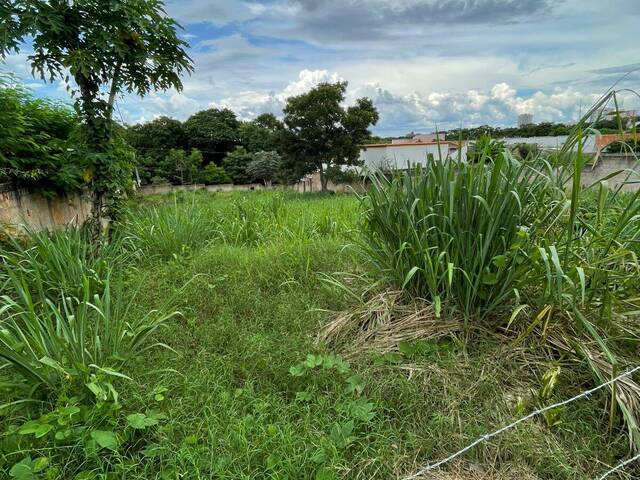 #369 - Área para Venda em Cuiabá - MT