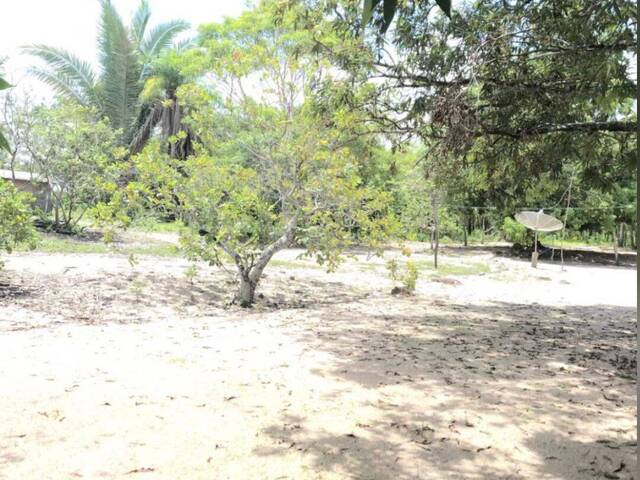 #715 - Chácara para Venda em Cuiabá - MT