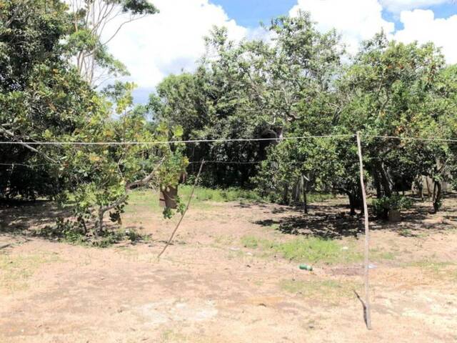 #715 - Chácara para Venda em Cuiabá - MT