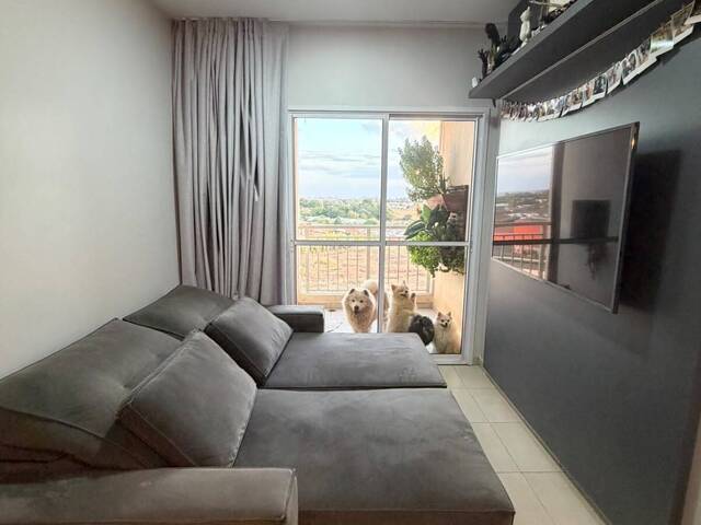 Apartamento para Venda em Sinop - 2